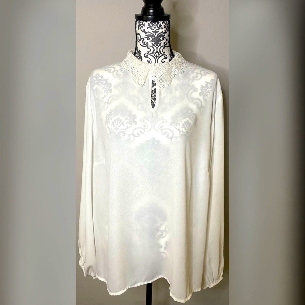 Sheer lace collar blouse